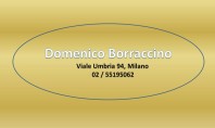 Domenico Borraccino