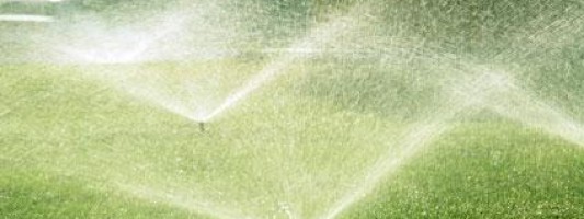 Idrogreen